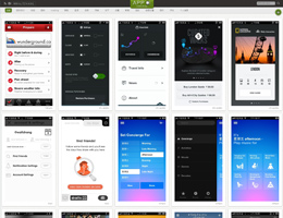 APP UI